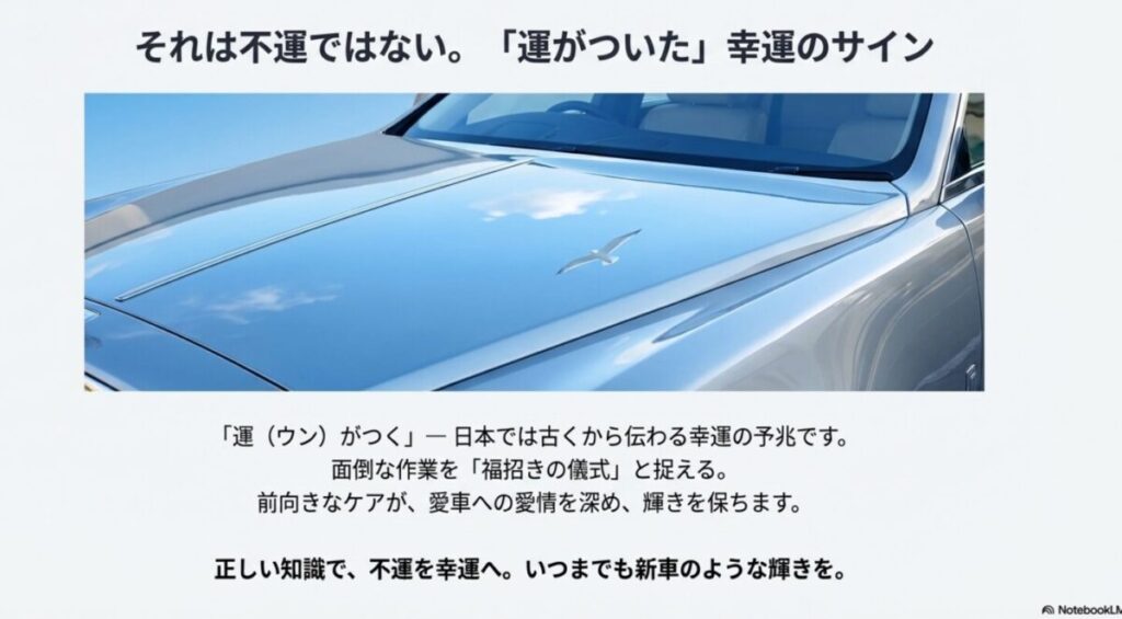 鳥のシルエットと、洗車後にピカピカに輝く車のボンネットのイメージ